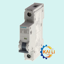 5SJ4114-7HG40������΢�Ͷ�·��1P C0.3 240V