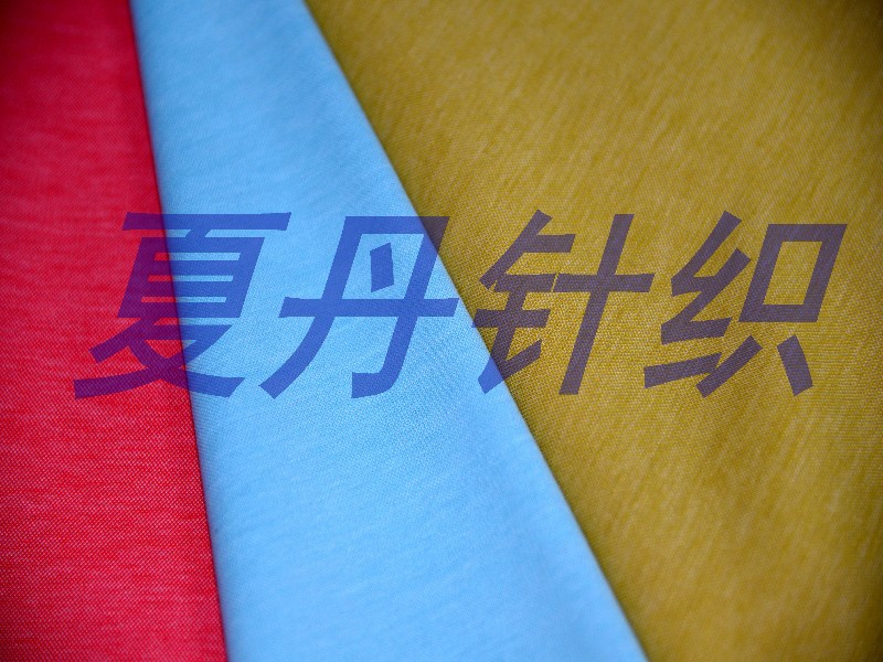 双色双丝光珠地网眼布 双丝光汗布