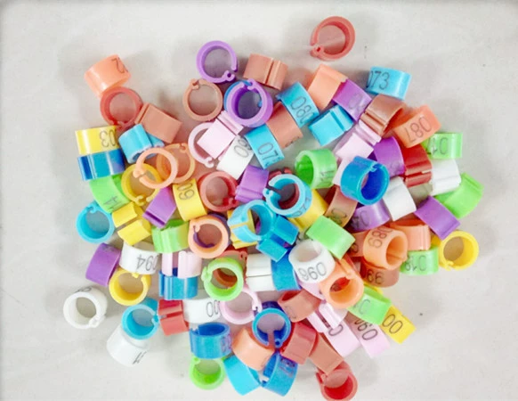 Цифровое идентификационное кольцо для Голубиной лапки Внутренний диаметр 8 мм Открытое кольцо для Голубиной лапки Многоцветное дополнительное голубиное снаряжение