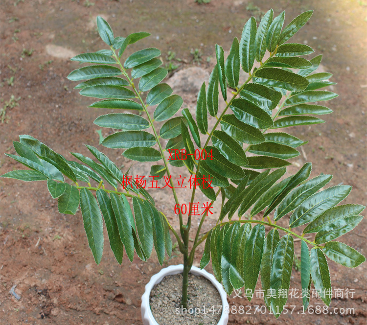 XRB-004枫杨五叉立体枝105叶整