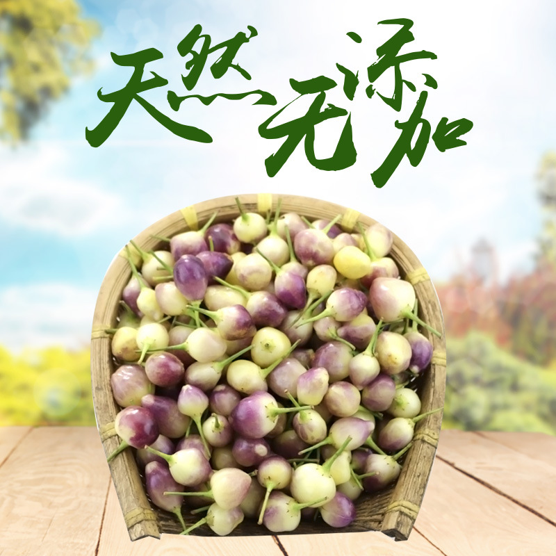 Guangxi specialty Fresh pepper Seven bell pepper Five peppers pickled pepper Pepper Pepper 5 pounds Manufactor Direct selling