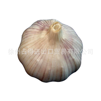 Garlic Redskins Garlic Garlic White Garlic Onion Fengxian County New garlic Welcome customer
