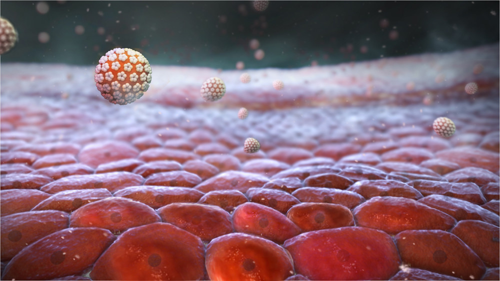 FkVs4lKxzJujCovjsa16ydhSBTE5