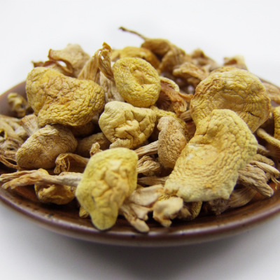 supply wild Small yellow mushroom wholesale Northeast Wild mushrooms tricholoma matsutake 2 pounds Changbai specialty Fungus On behalf of
