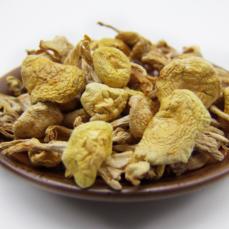 supply wild Small yellow mushroom wholesale Northeast Wild mushrooms tricholoma matsutake 2 pounds Changbai specialty Fungus On behalf of