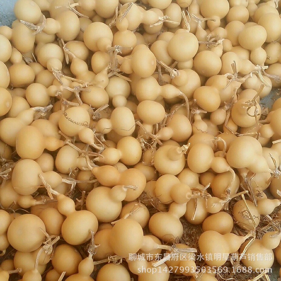 microMsg.1488874479157