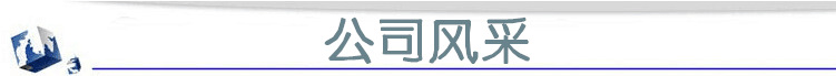 公司风采