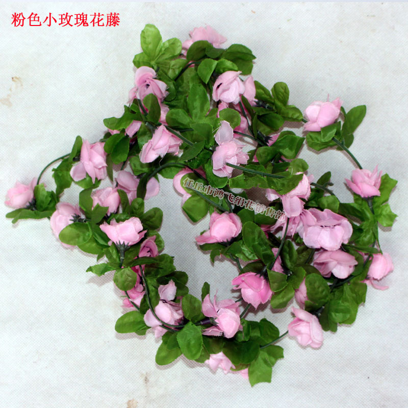 dancengxiaomeiguihuateng12