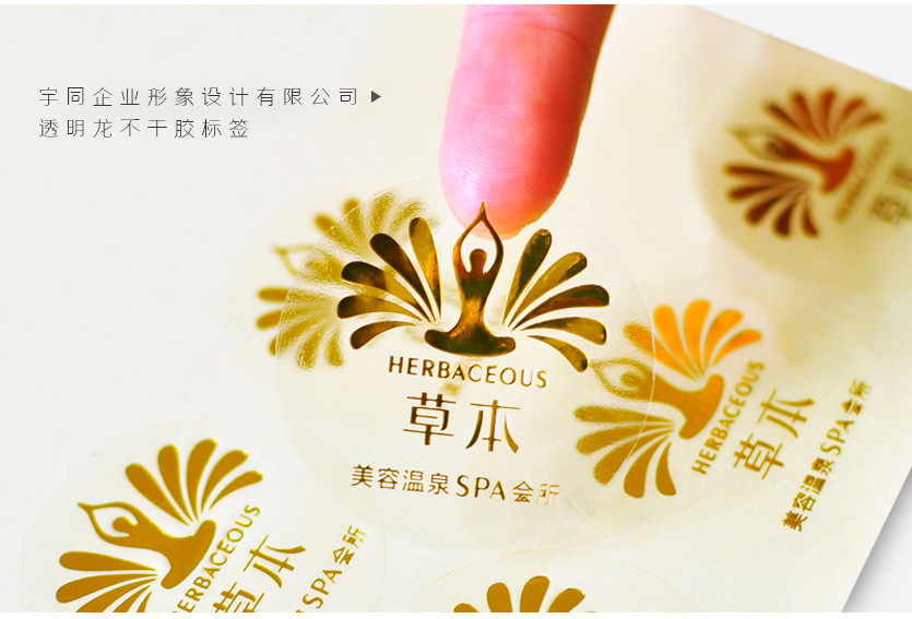 透明龙不干胶02 副本