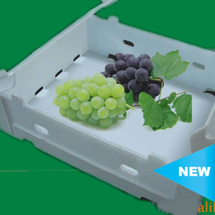 黄桃水果包装箱 批发各种颜色厚度pp中空垫板加硬衬板石塑纸箱