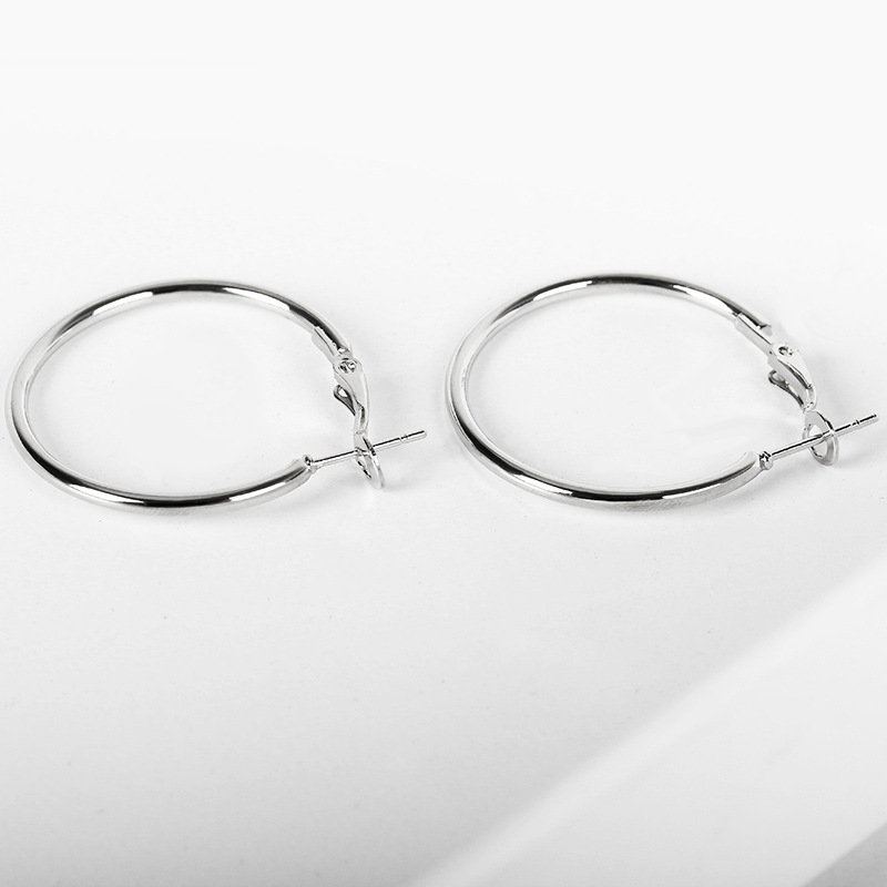 New Simple Geometric Circle Earrings Hypoallergenic Stainless Steel O-ring Hoop Earrings Wholesale display picture 6