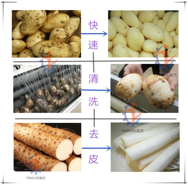 未命名_副本_副本_副本