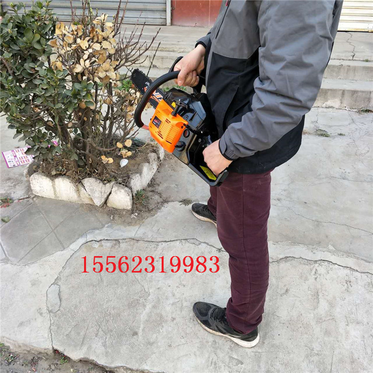 易启动电锯砍树锯 伐木园林锯油锯机 小型手提式油锯图片