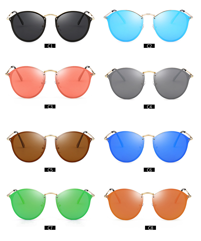 Polarized Sunglasses For Men And Women Classic Timeless Design_voghion.com