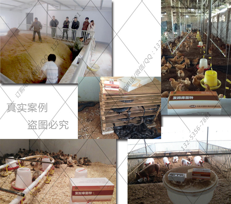 農(nóng)富康發(fā)酵床客戶案例
