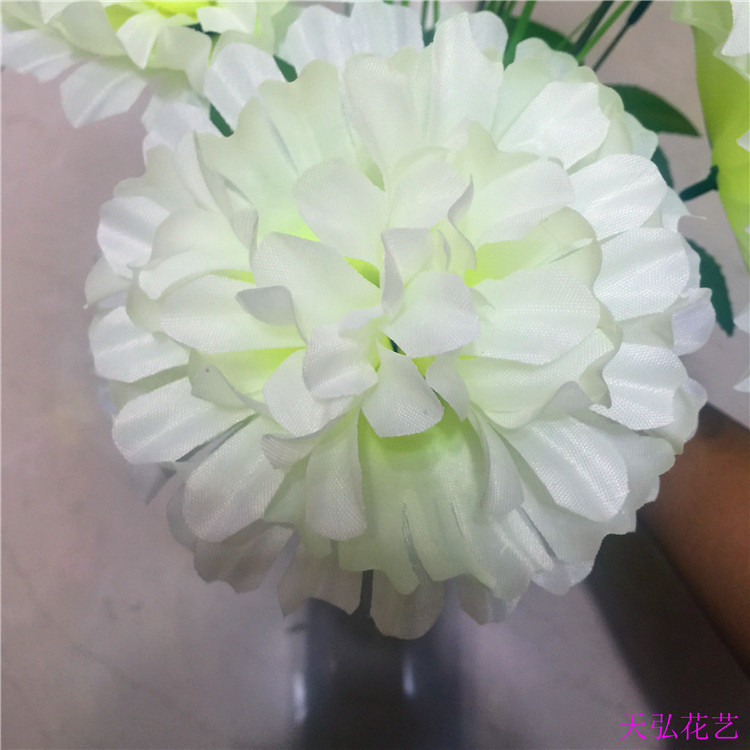 IMG_8743(20170831-162107)