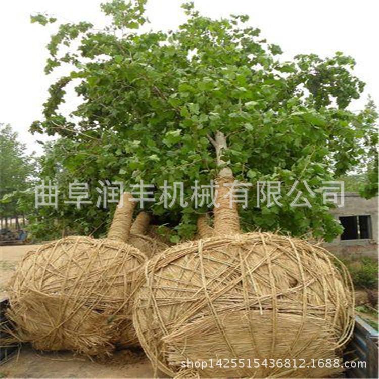 石榴石移栽机 园林移栽挖树机加长链条挖树机