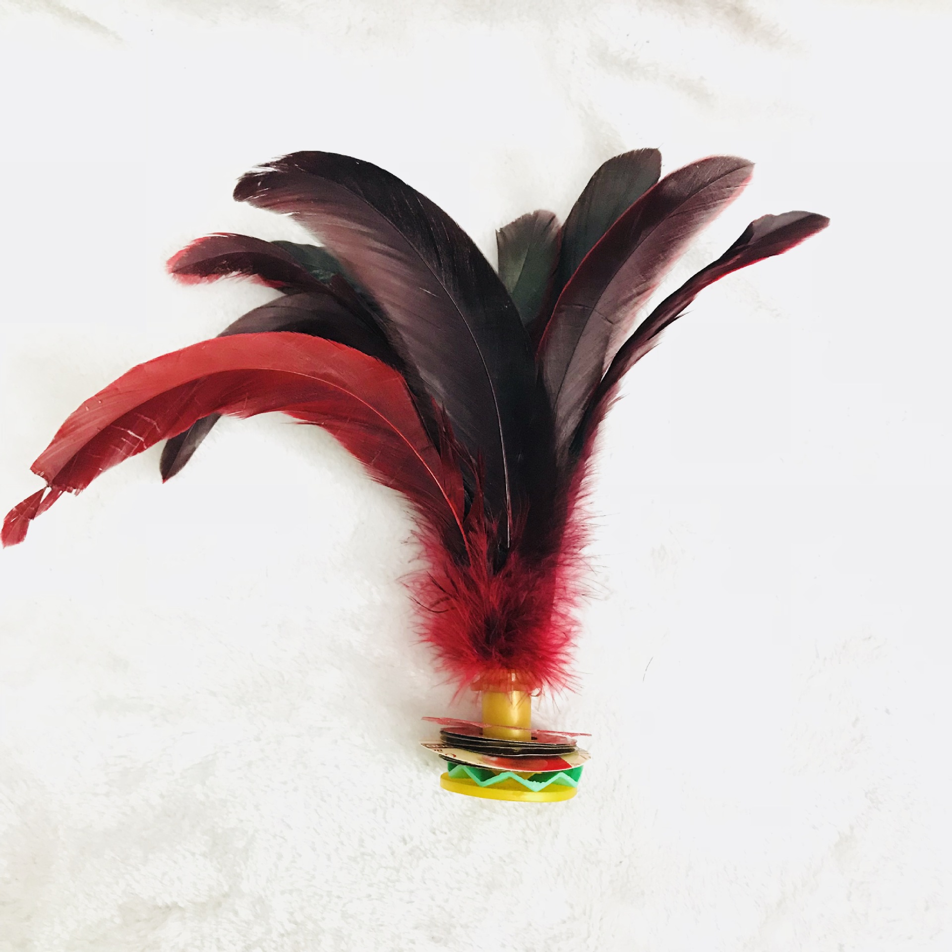 IMG_2347(20171215-105301)