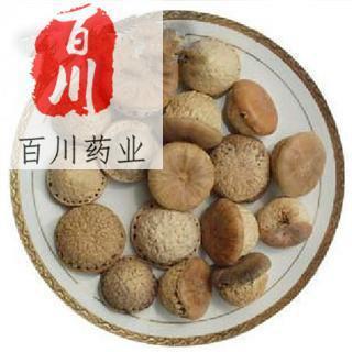 风流果  肾果 龟头子 实物拍照 优质正品