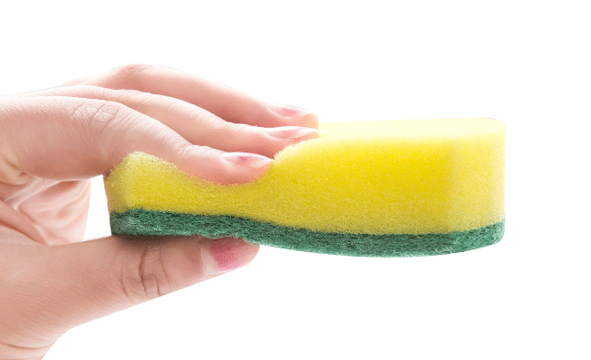 2853345448_1569334606