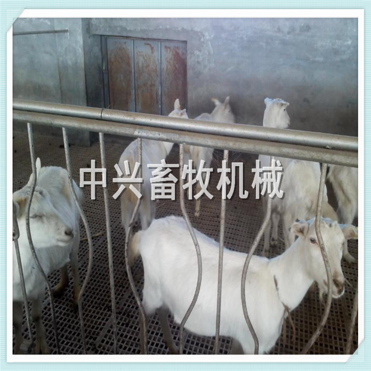 羊用塑料漏粪板厂家 耐高温羊床 冬季用羊粪板批发