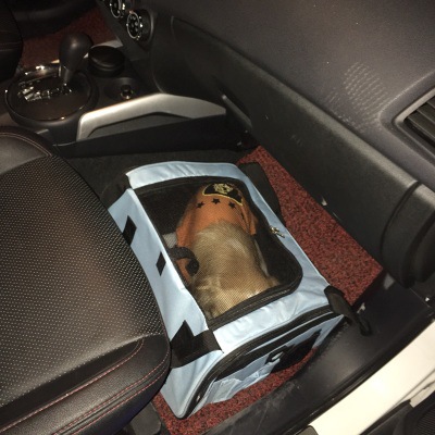 TB2Tf4wcMJkpuFjSszcXXXfsFXa_!!