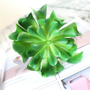 �������ֲ����������پGֲ�Gɫ�҃ȿ͏d�b��ܻ���ǧ�qɏ