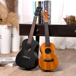 �ȿ�����21��С�������W�ߌW��������Ů���־�����ukulele����