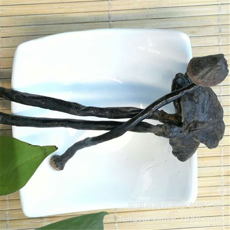 Dried Black Reishi Mushroom Ling Zhi 灵芝 Whole Fruiting Body Traditional Herbal Tea and Decoction Herb 500g key features