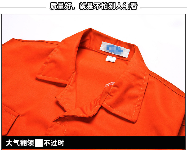 2518329003_580011261