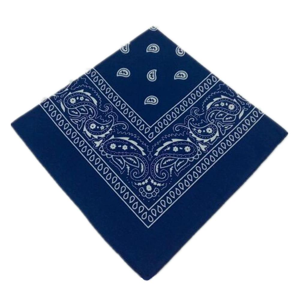 Headscarf, polyester 55 cm, paisley vortex print, one size (multi-color)