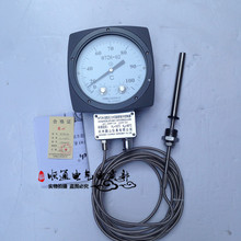 變壓器溫度控制器  WZTK-02 WZTK-03 油面溫控器