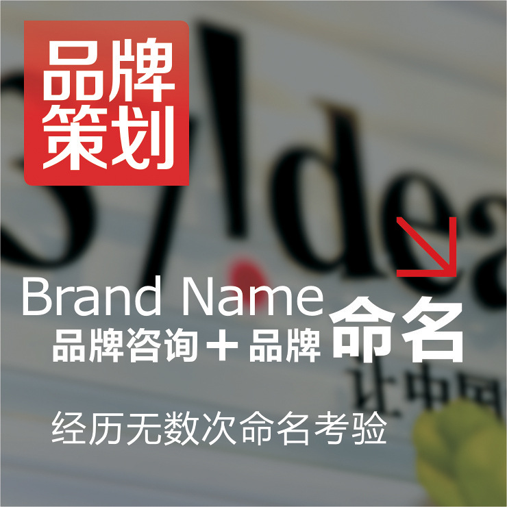 三十七计品牌策划 佛山商标命名 顺德品牌命名 顺德公司命名服务|ms