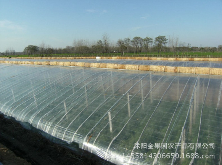 大棚膜描述8
