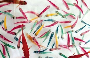 �^�p�~ �����~  ��ȹ�~ ���w�~ ��Ⱥ �߲��~ Ⱥ���~ �J���~ �ݸ�