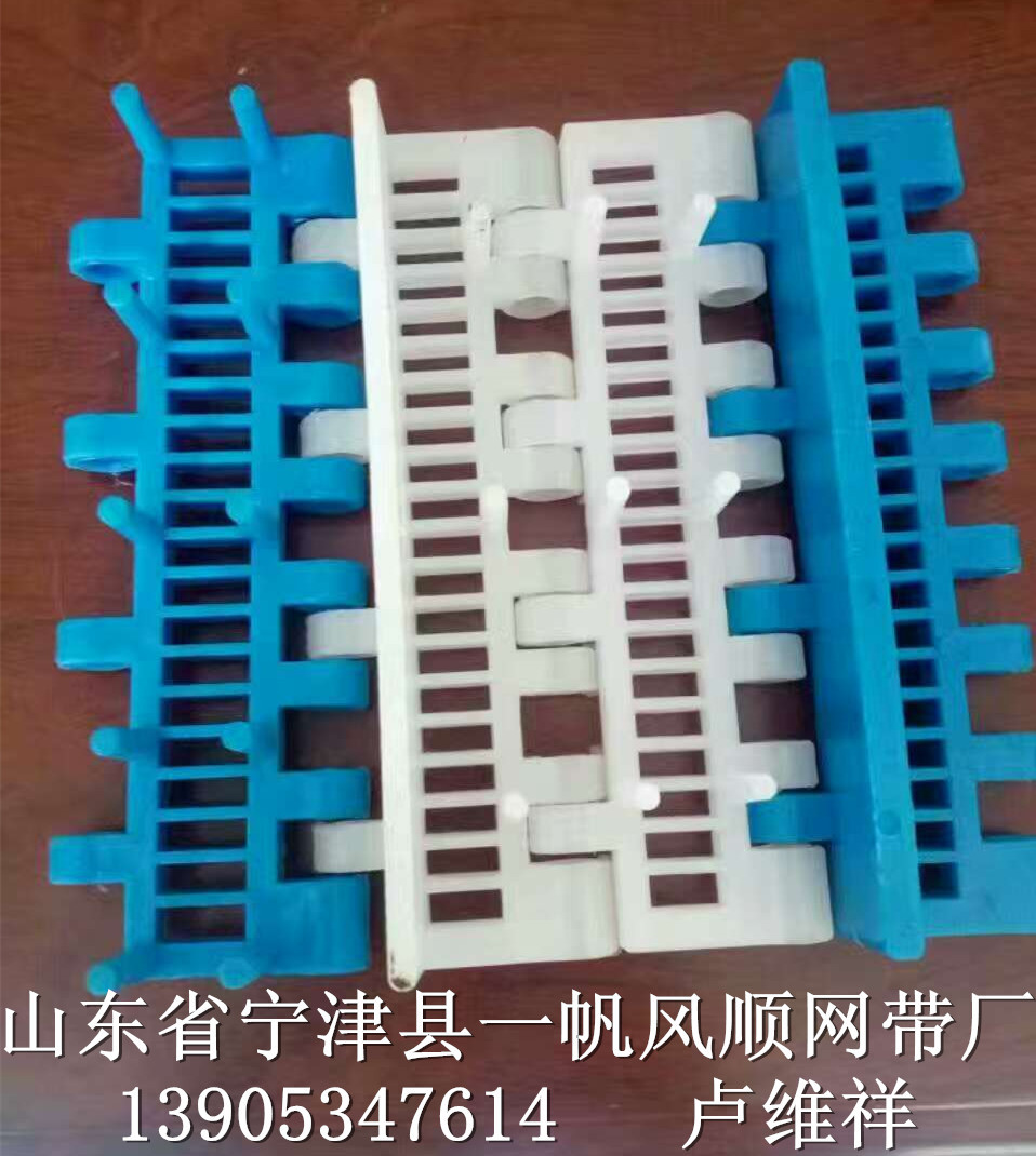 刀具清洗机塑料网链、网带-8885