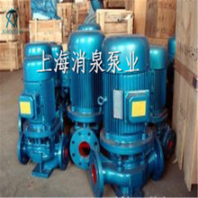 上海消泉 专业生产 自吸防爆油泵口径125 380V管道泵