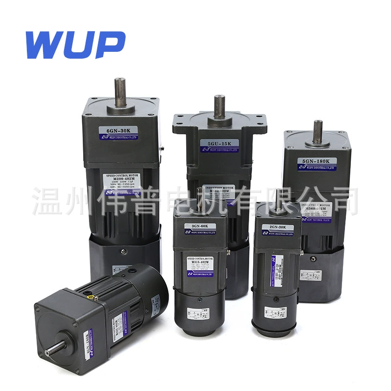 Engine with gears, 6W, 110v
