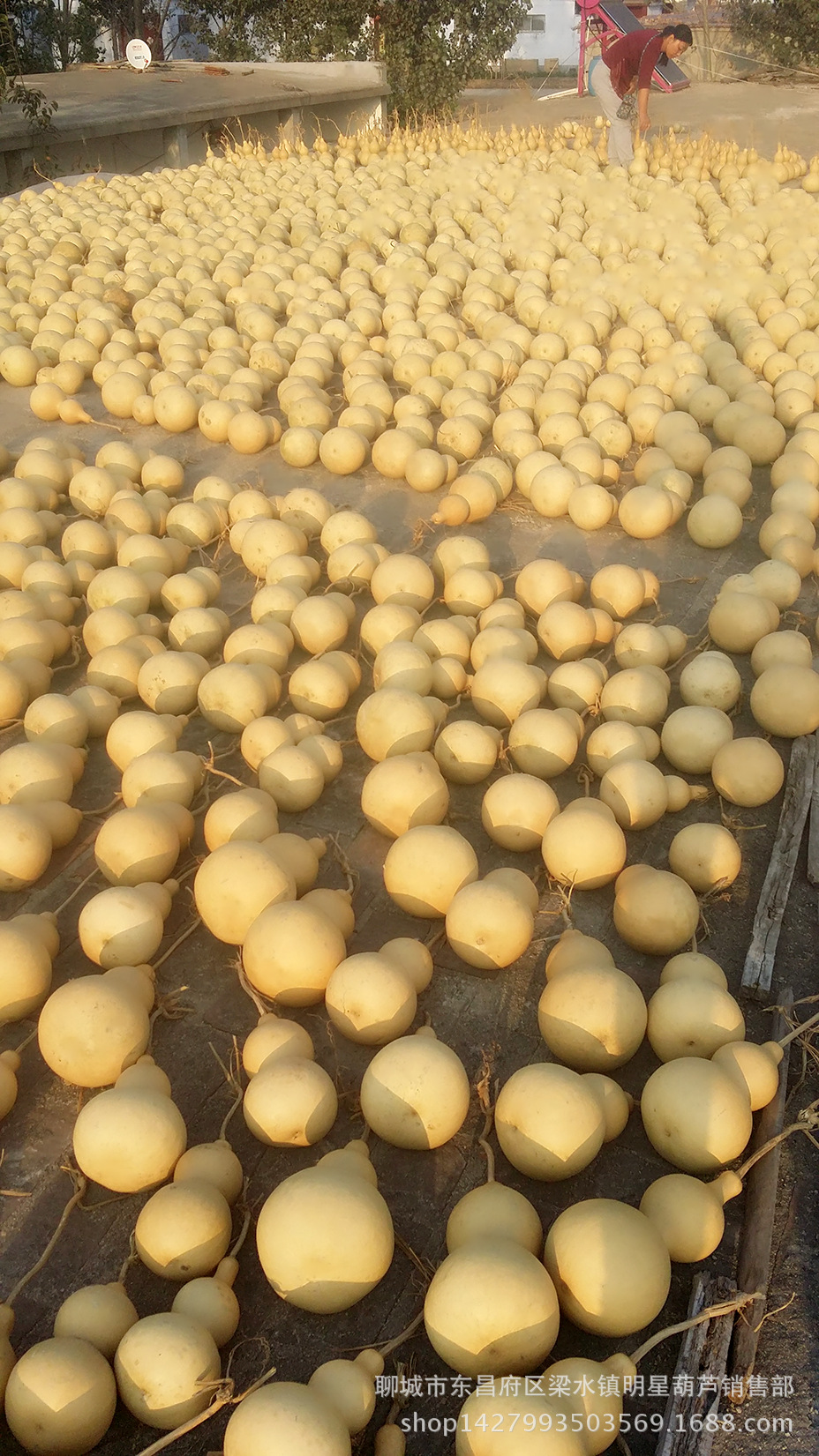 MYXJ_20161004164443_fast