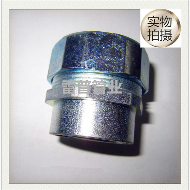 DPN内螺纹接头软管接头国标内牙管接头波纹管接头