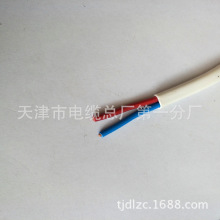 BVVB 2*2.5扁型電纜 固定布電線