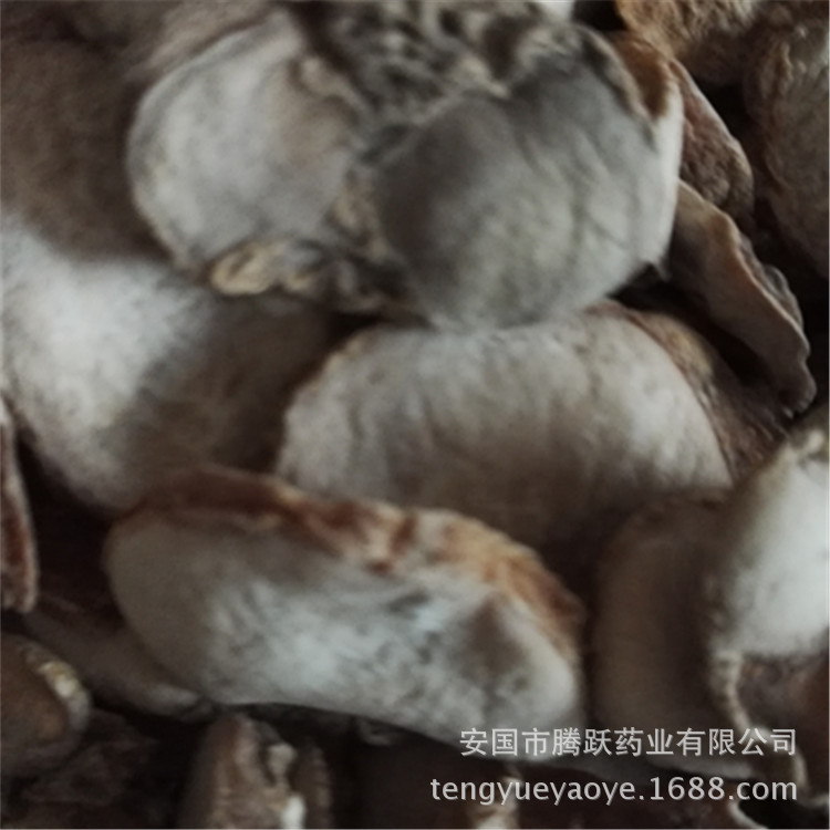 Zhejiang Fritillaria Bulb Slices Zhe Bei Mu Dried TCM Herb for Decoction 1kg quality and texture