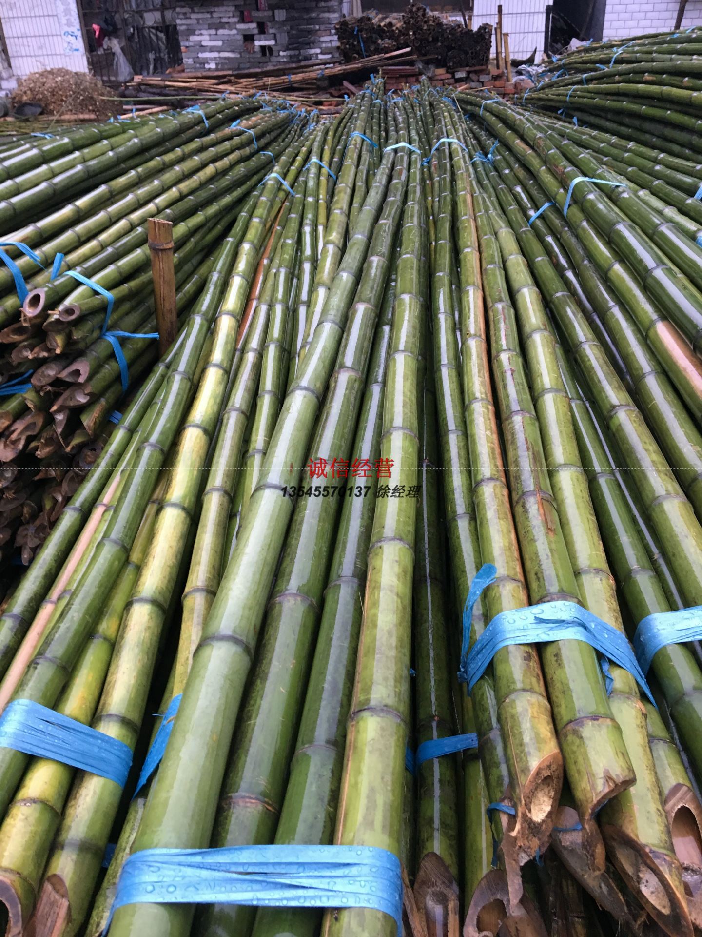 厂家供应菜架竹 金竹 桂竹批发 毛竹 蔬菜大棚用 原材料基地-阿里巴巴