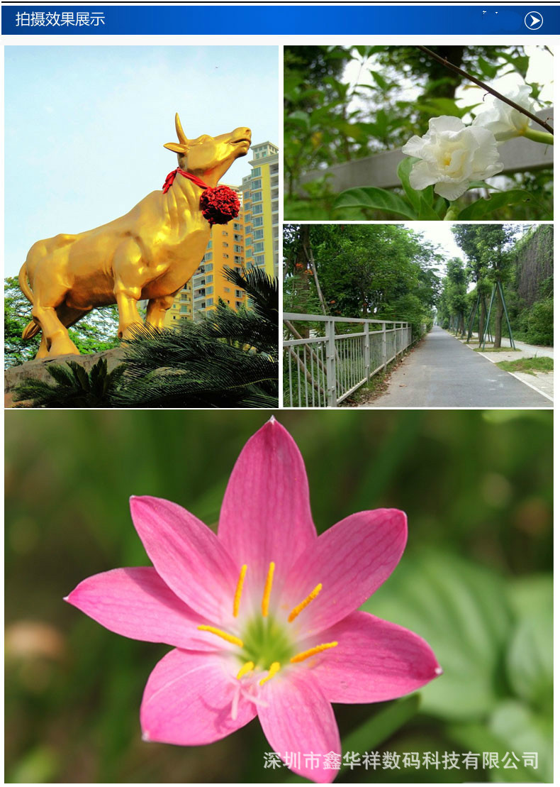 3808453146_233783368