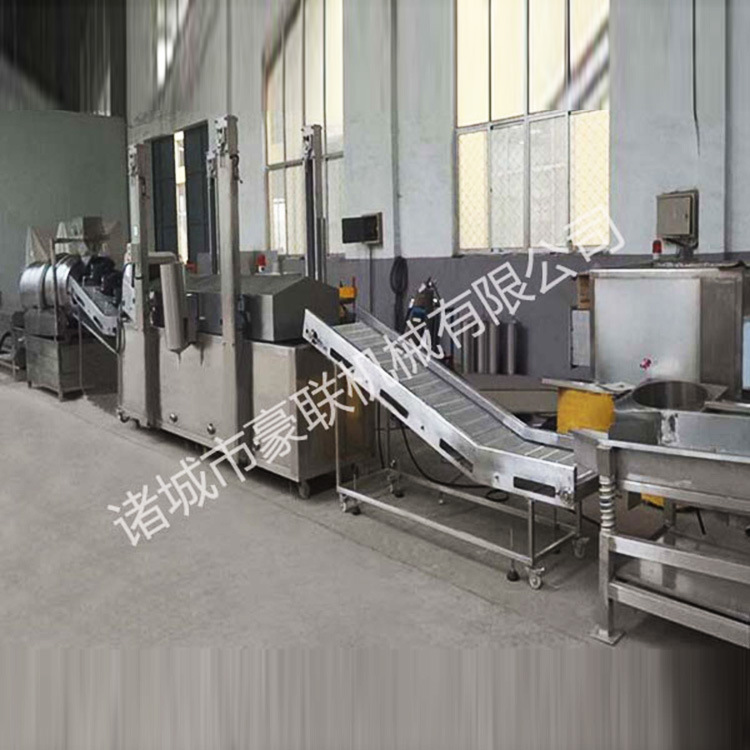 休闲食品油炸线|小食品全自动油炸线