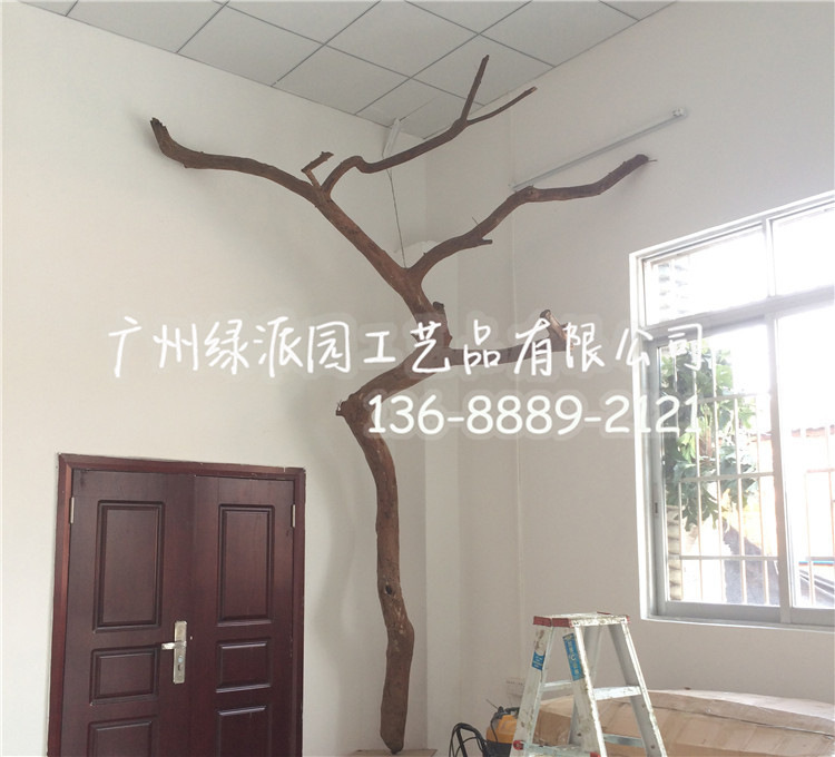 室内枯木景观,室内枯木景观图片,枯木景观_大山谷图库