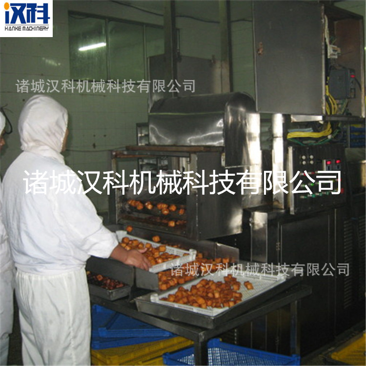 油炸生產(chǎn)線