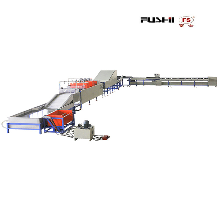 出售电子选果机水果分选机 自动分拣分级设备 FGX-DZ型水果分选机