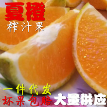 5斤9斤秭归夏橙新鲜橙子脐橙榨汁橙子55-80mm