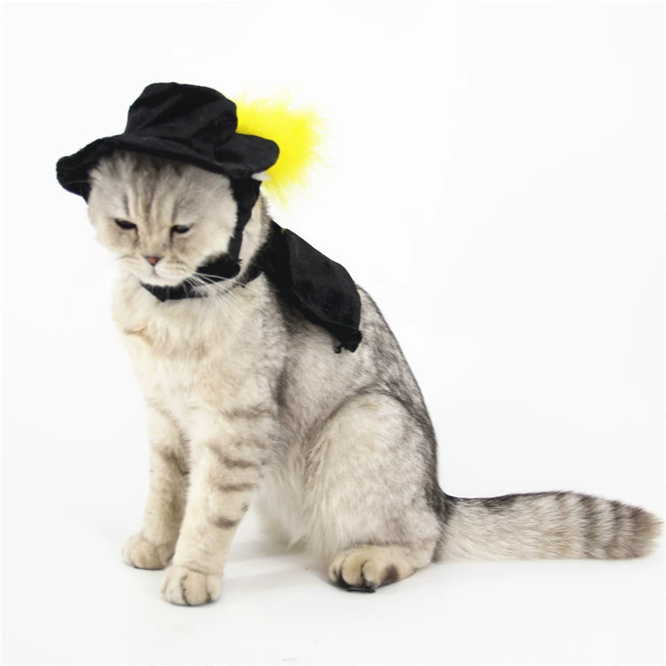 Мид небольшие товары для домашних животных фабрики европейский и американский стиль мяч магия черная собака кошка плащ платье всех святых мыс вечернее платье